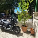 Enjoy Siena